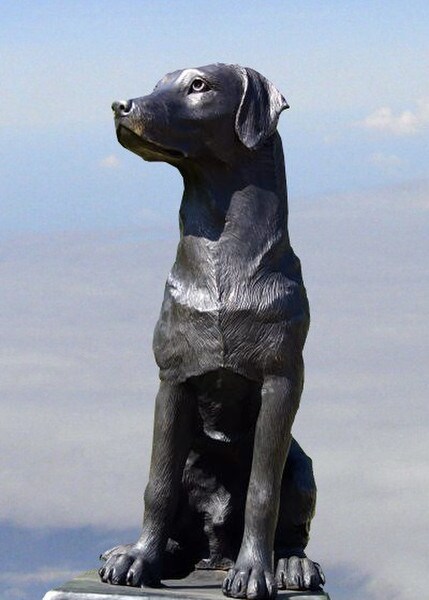 Black Labrador Retriever Bronze Statue